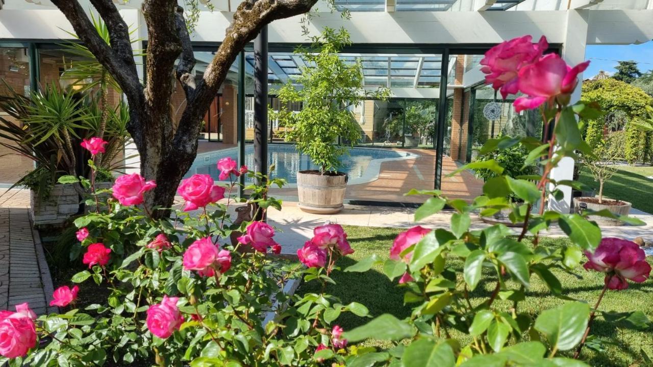 Fontana Oasis Apartments Castelnuovo del Garda Buitenkant foto